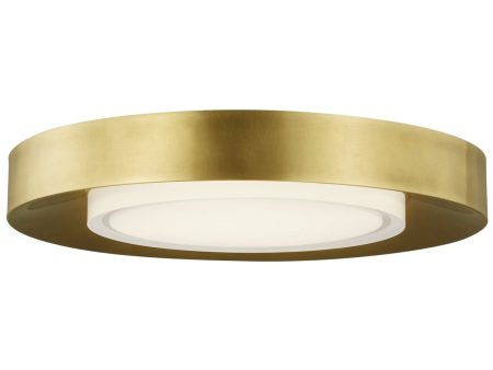 Hilo Ceiling Light Sale