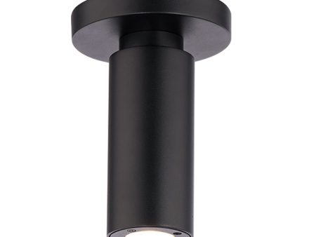 Caliber Outdoor Ceiling Mount Online Sale