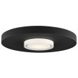 Castor Ceiling Light Cheap