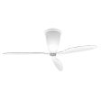 Blow Ceiling Fan with Light Online now