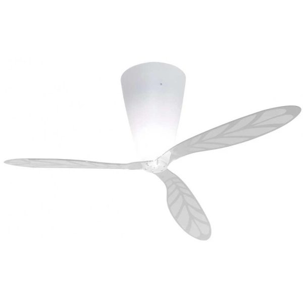 Blow Ceiling Fan with Light Online now