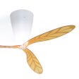 Blow Ceiling Fan with Light Online now